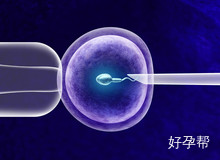 试管婴儿可以避免发生宫外孕吗?