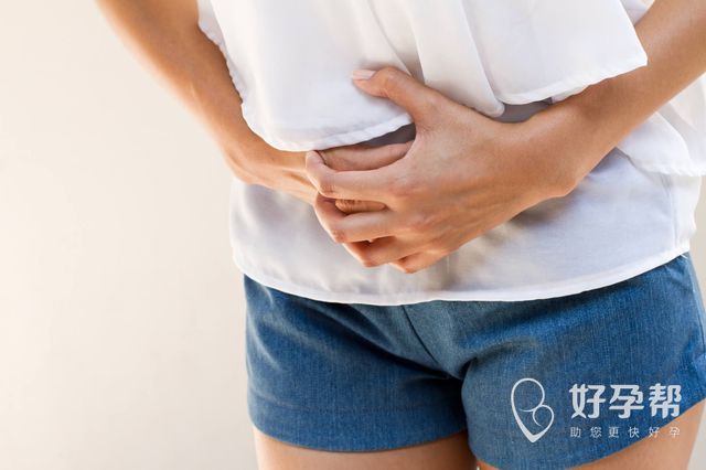 为什么“卵泡”长大了却不排卵？