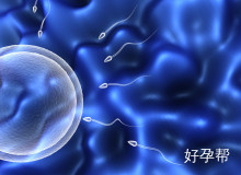 如何提高胚胎移植成功率？