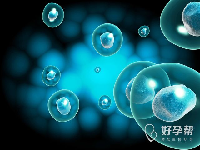 男人调理精子生男孩，促进y精子质量很重要！