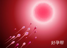 抓住排卵日 定生儿子！