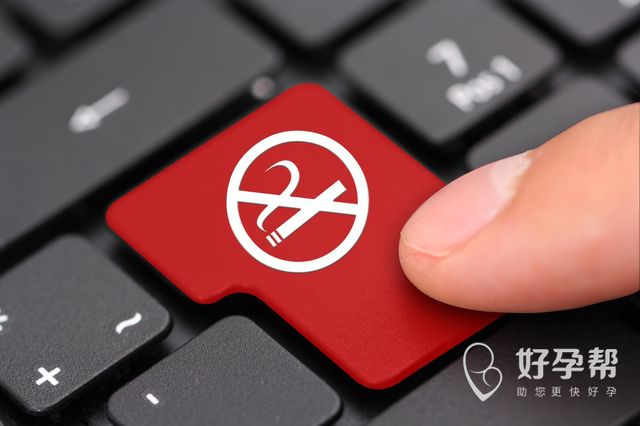 哪些生儿子的方法健康安全又有效呢？