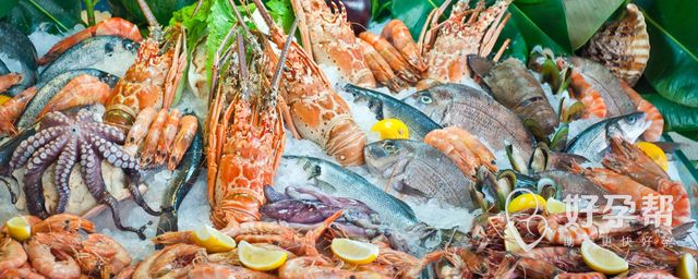 成功怀男孩的细节经验，你必须要学习！