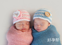 做试管婴儿去哪儿？上海哪个医院做的好？