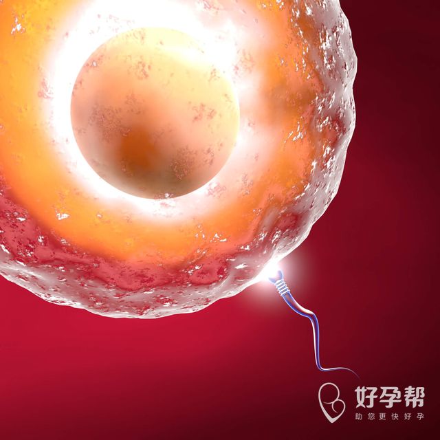 试管婴儿信得过吗？选择这些医院最可靠