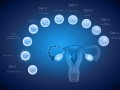 人工受孕都有哪些方法？哪些方法比较靠谱？