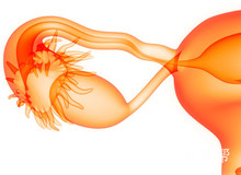 死精症能做试管婴儿吗？男性还能成功受孕吗？