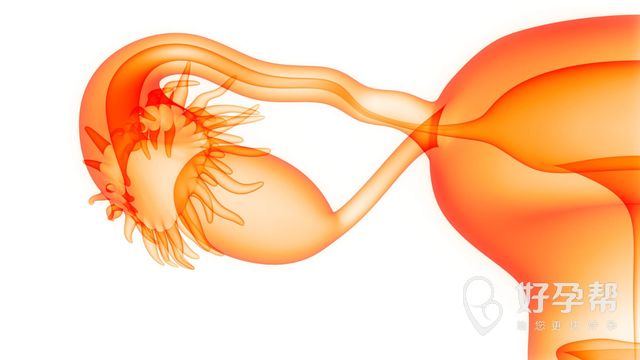 死精症能做试管婴儿吗？男性还能成功受孕吗？