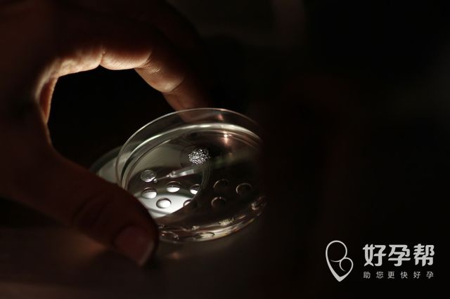 宫腔粘连适合怀孕吗？对怀孕有什么影响？