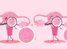 宫腹腔镜手术怀孕几率高吗?怀孕几率有多少?