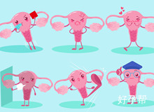 腹腔镜手术治疗多少钱？会不会特别昂贵？