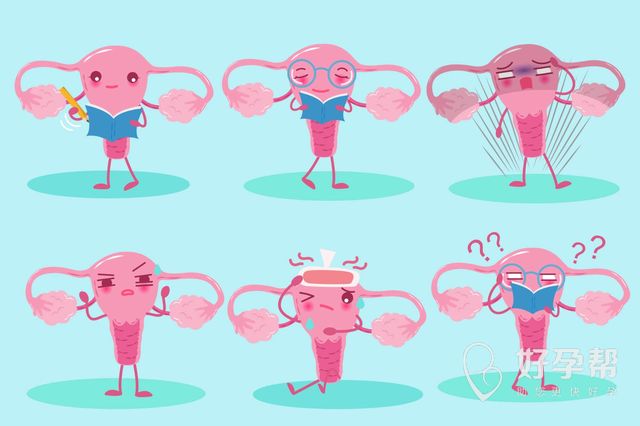 腹腔镜手术后怀孕的几率大不大？为什么选择这项手术？