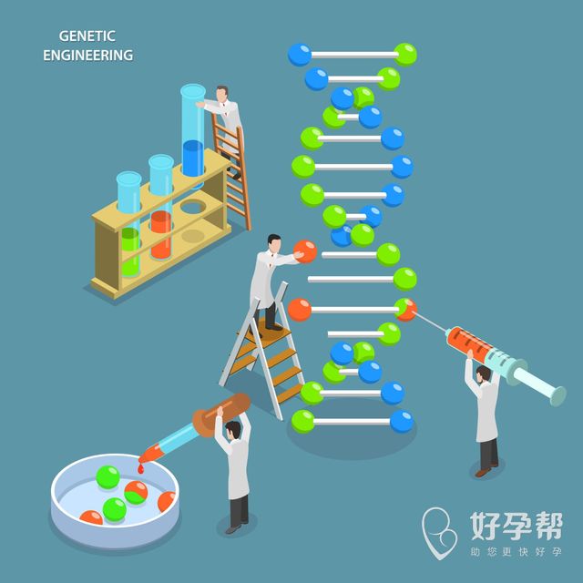 试管多数是龙凤胎吗？怎样才能有龙凤胎？