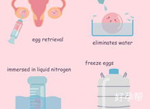 试管婴儿步骤完成时间是多长时间?多长时间能够做试管婴儿?
