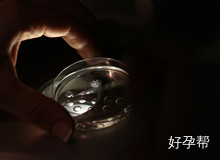 深圳哪家试管婴儿医院技术好？哪个医院可以去？