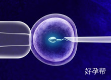 哈尔滨市第一医院试管好不好?做试管婴儿要了解什么?