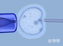 湖北省做试管婴儿医院排名有哪些？哪家医院最受关注？