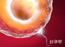 山东哪些医院做试管婴儿好的?如何选择山东试管婴儿医院?