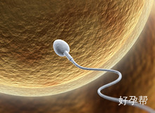 陕西省人民医院试管婴儿好不好？试管婴儿医院如何？