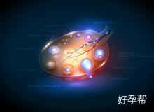 四川省医院试管婴儿成功率高不高？哪些因素会影响到试管婴儿成功率？