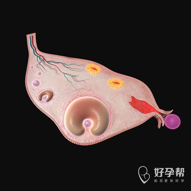 浙江省的试管最好的医院是什么样子？有哪些好的服务？