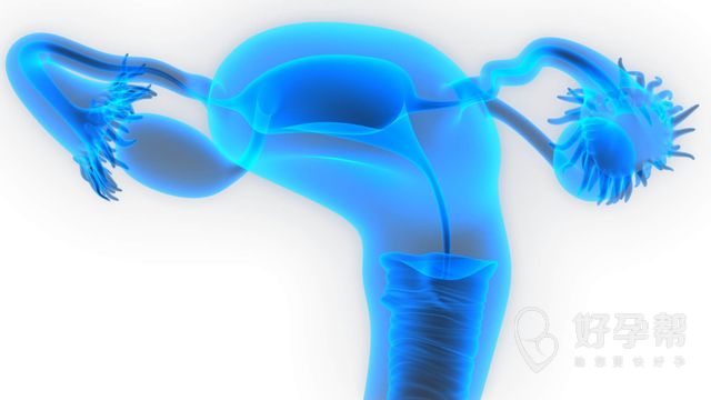 刘湘源移植前方案怎么做？刘湘源技术好不好？