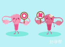 北医三院第三代试管挂号和分诊怎么做？这些知识要提前了解