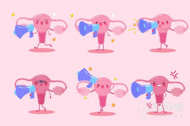 中信湘雅养囊技术怎么样？哪些人适合做养囊培养移植？