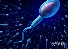深圳试管哪个医院最好?怎样选择深圳试管婴儿医院?