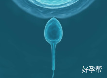 北京试管最好的医院私立是哪家？试管婴儿技术如何？