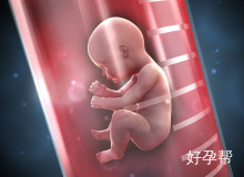 天津市第一中心医院试管成功率高不高？哪些因素影响试管婴儿成功率？