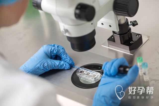 试管婴儿如何做促排？怎样确定促排方案？