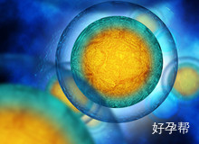 赣州市人民医院试管婴儿成功率如何？成功率受哪些因素影响？