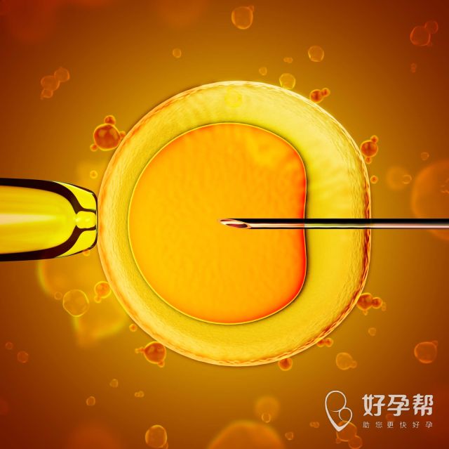 华中科技大学同济医学院附属协和医院让试管婴儿成功率更高！