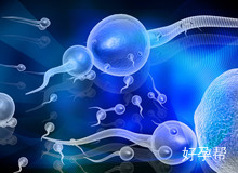 弱精都有哪些表现？应该避免吃哪些食物？