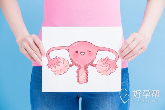 怎样治疗子宫内膜增生？子宫内膜增生有哪些治疗方法？