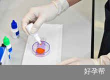 多囊卵巢可以做试管吗？多囊卵巢如何调理？