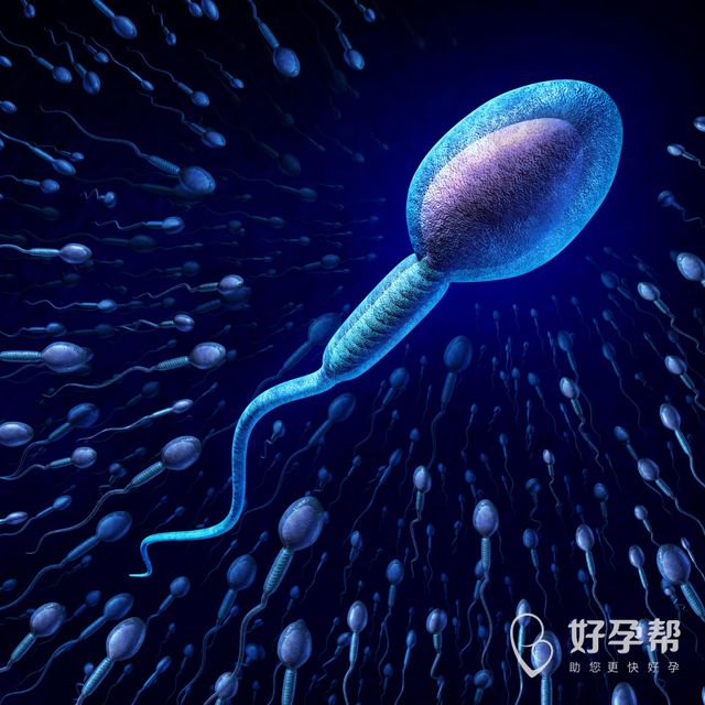 高泌乳素血症怀孕胎停怎么办？高泌乳素血症怀孕了要注意什么？