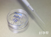 孕早期hcg下降保胎能成功么？用什么方法可以保胎成功？