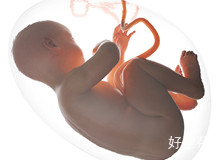 合肥试管婴儿医院排行榜？有哪些人最适合做试管？