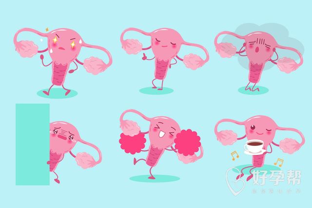 做完宫腔镜手术后多久可以做人工授精？提高成功率的绝招法宝大揭秘！