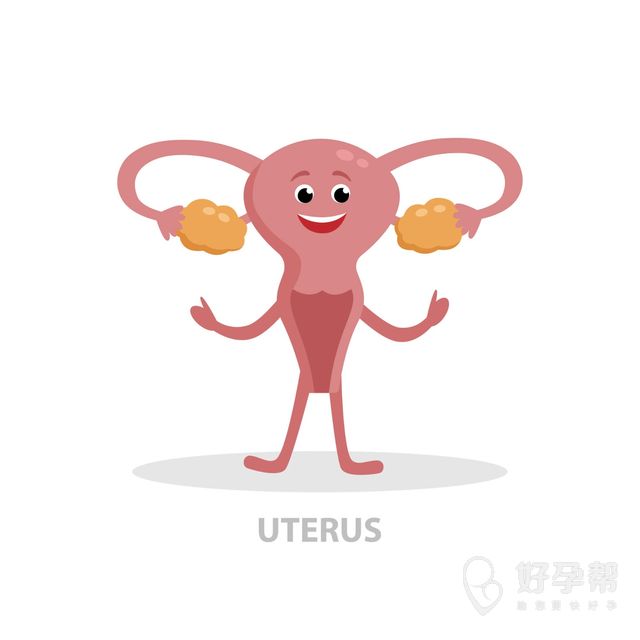 厦门安宝医院试管成功率高吗？哪些因素影响成功率？