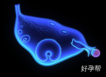 烟台毓璜顶能做第三代试管婴儿?做第三代试管婴儿要达到哪些条件?
