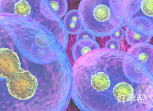 滨州能做试管婴儿吗？哪些地方可以做试管婴儿？