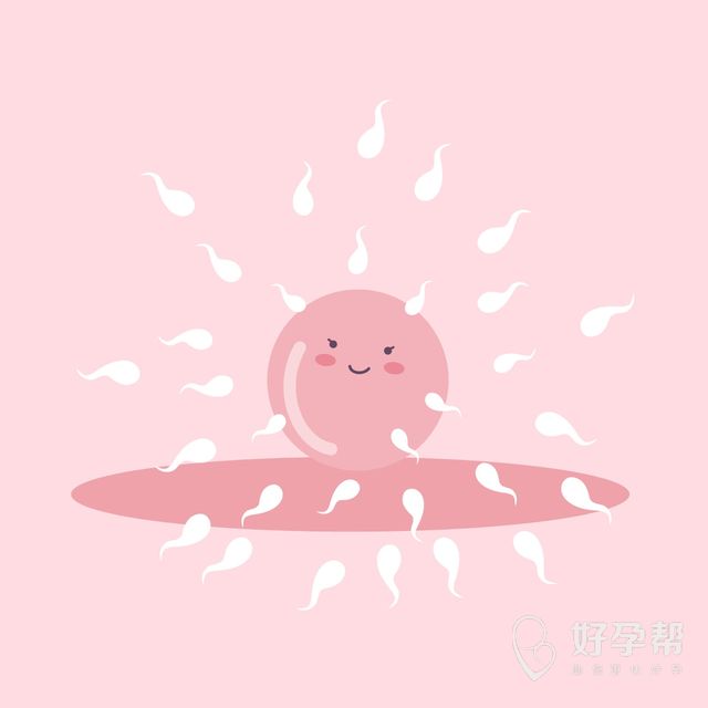 淄博妇幼保健院试管婴儿成功率如何提升？和哪些因素有关？