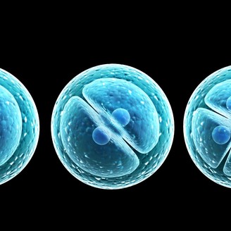 合肥105医院试管科专家?做试管婴儿都有哪些方案?