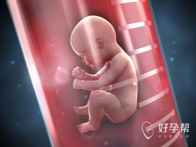 试管婴儿导致卵巢早衰？为什么会出现卵巢早衰？