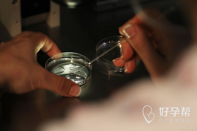 卵巢早衰闭经能治好吗？卵巢早衰闭经怎么调理？