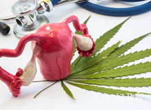 40岁amh值多少为卵巢早衰?卵巢早衰怎么调理?