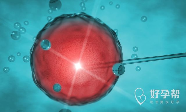 31岁做试管婴儿成功率为什么这么高？过来人告诉你这些经验 值得一看